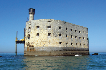 SAINT-DENIS-D’OLERON LES BEAUPINS